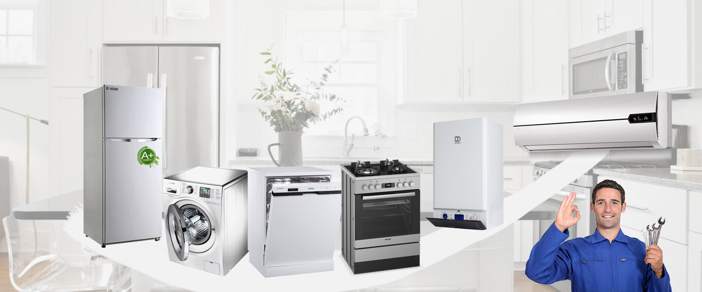 Alaşehir Gorenje Servisi
